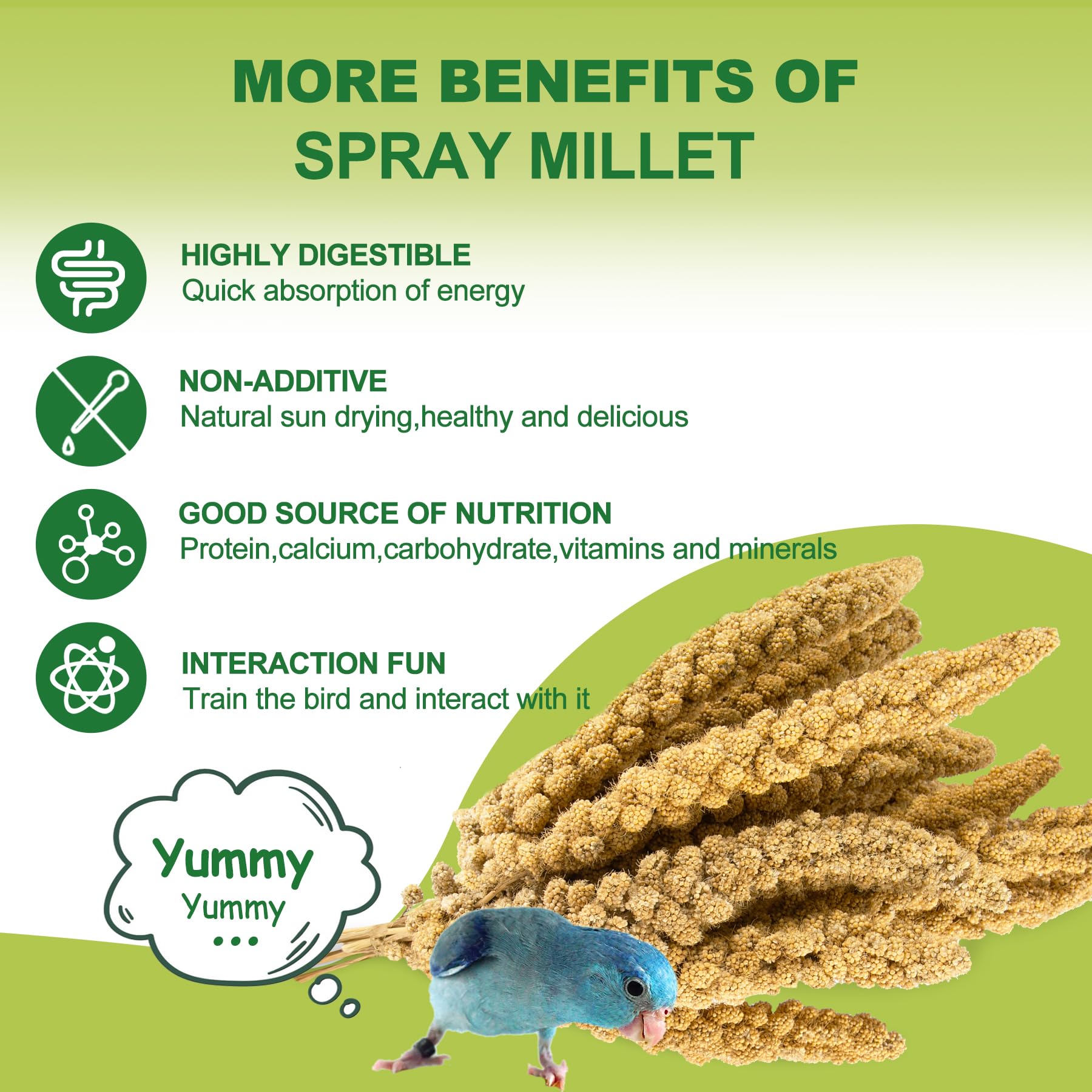 MEILLEURE-shell-millet-digestible-snack aids beak maintenance.