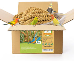 MEILLEURE spray millet parakeet-treat supports daily energy for birds.