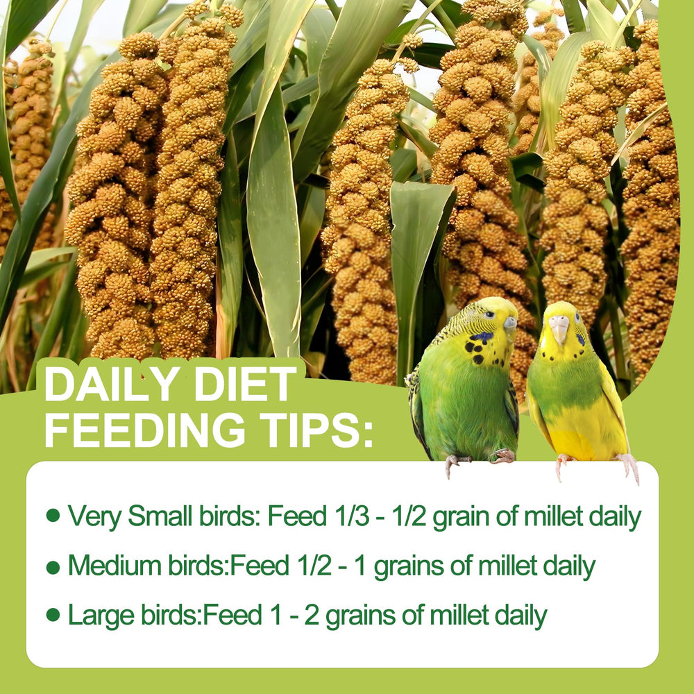 MEILLEURE-storage-keeping-millet-fresh helps preserve aroma and nutrition.