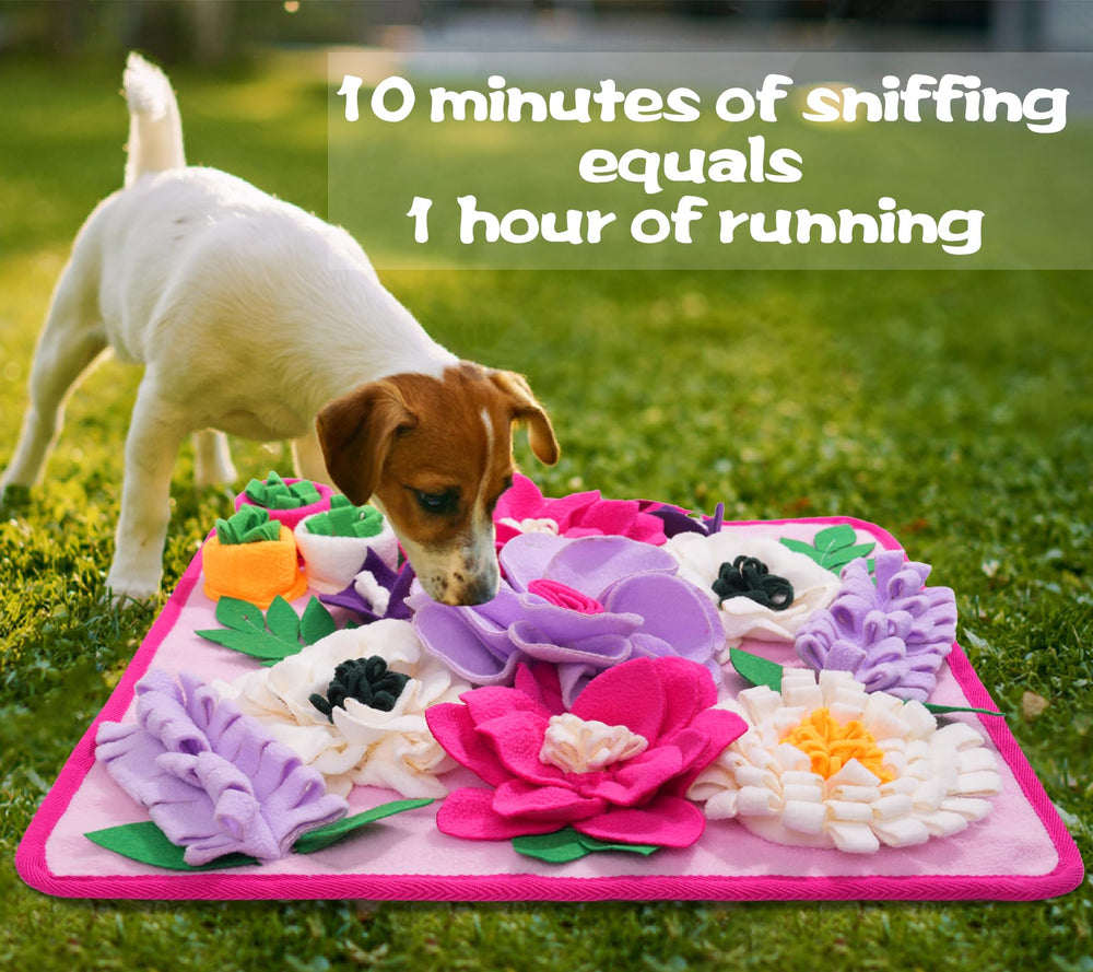 Meilzer Snuffle Mat easy-clean surface is machine washable for quick maintenance