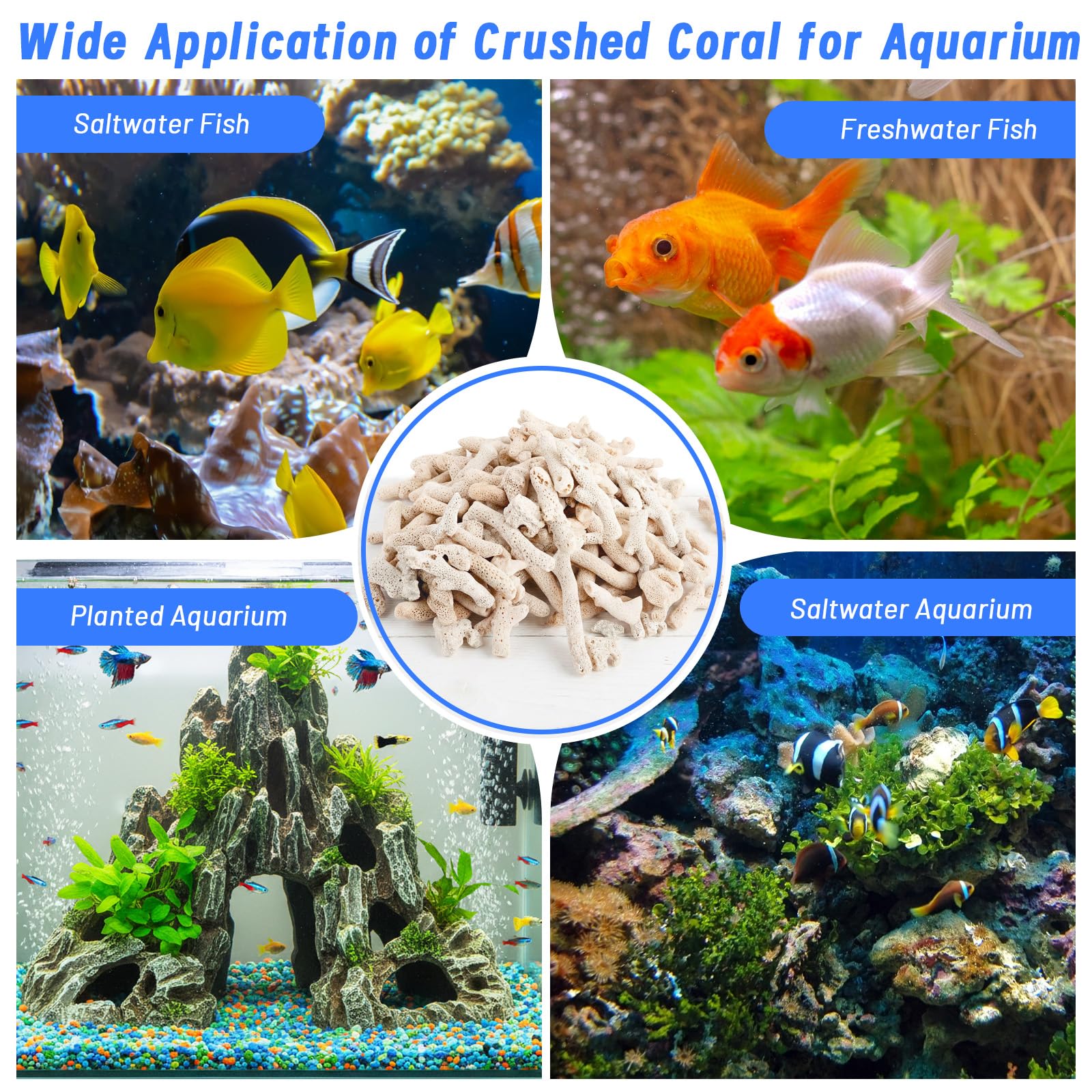 Freshwater aquarium ecosystem support with natural crushed coral filtration.