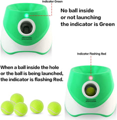 MEKAPLE 15 mini tennis balls for longer, engaging fetch.