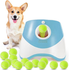 MEKAPLE automatic dog ball launcher front view, compact blue design for indoor fetch sessions.