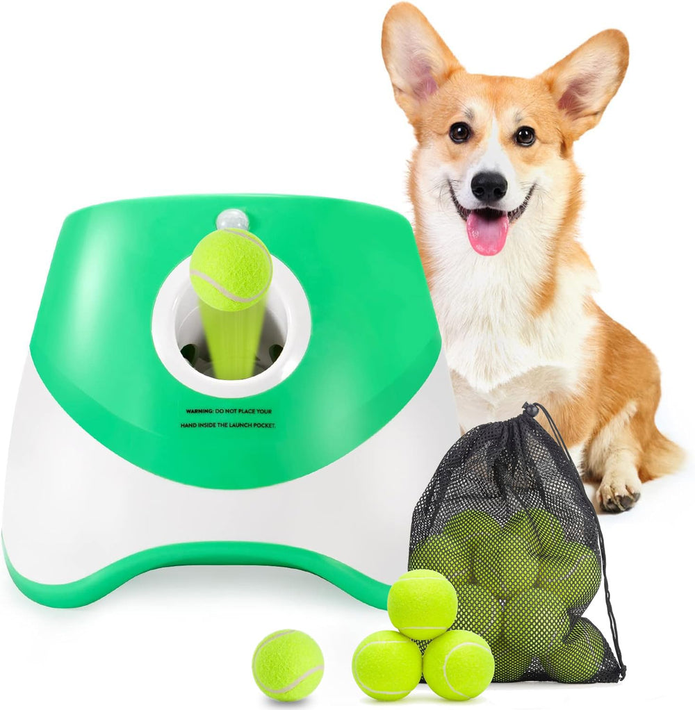 MEKAPLE automatic dog ball launcher for interactive fetch sessions.