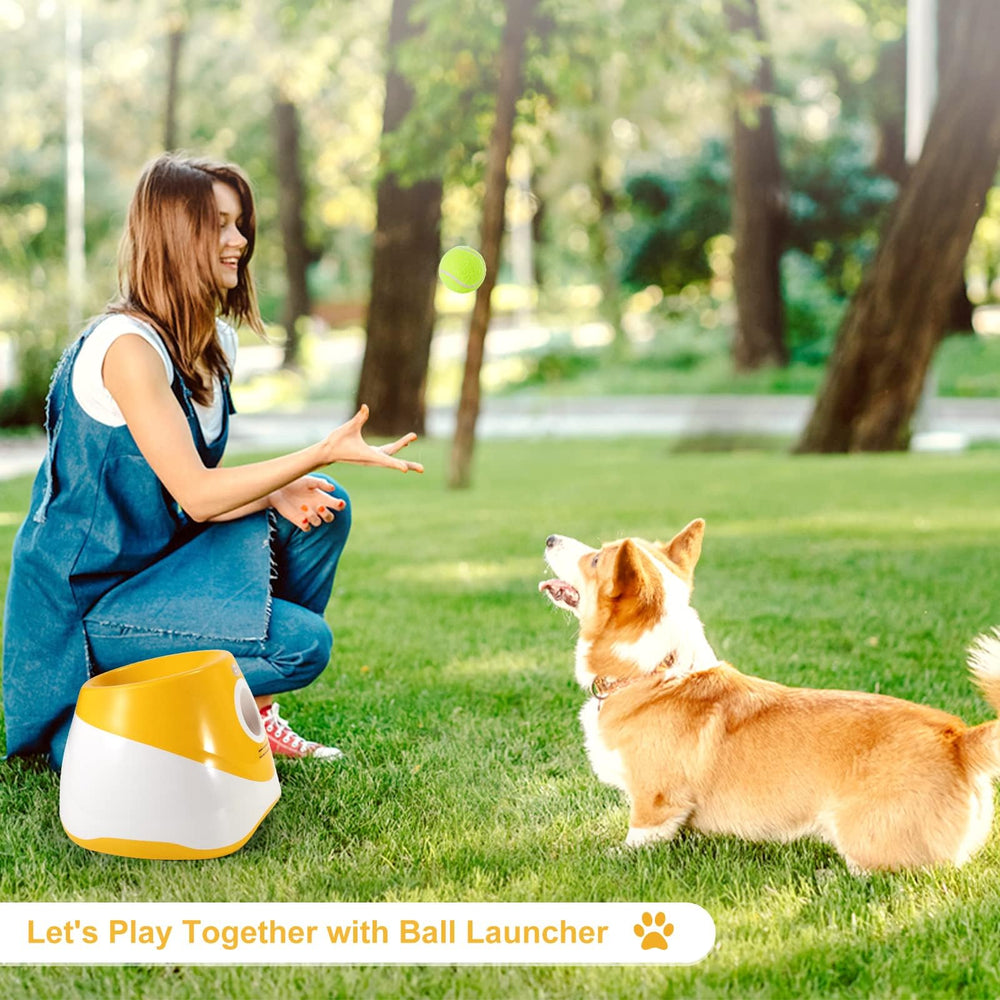 MEKAPLE dog-friendly outdoor setup supports easy fetch and exercise.