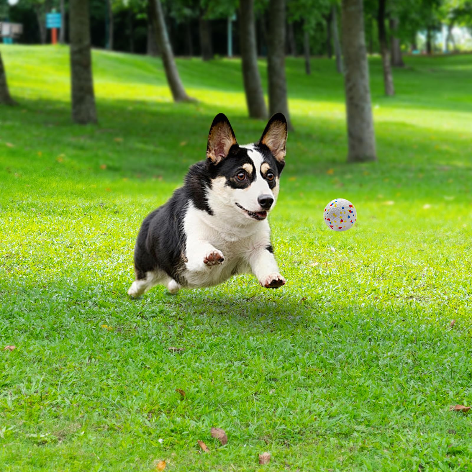 MEKAPLE easy-clean dog balls after outdoor play
