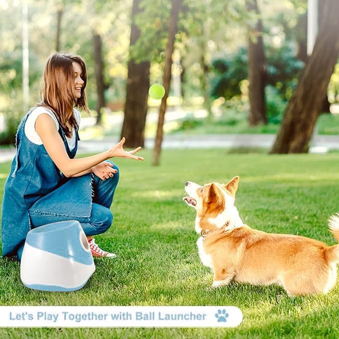 MEKAPLE outdoor fetch scene with launcher and excited dog.
