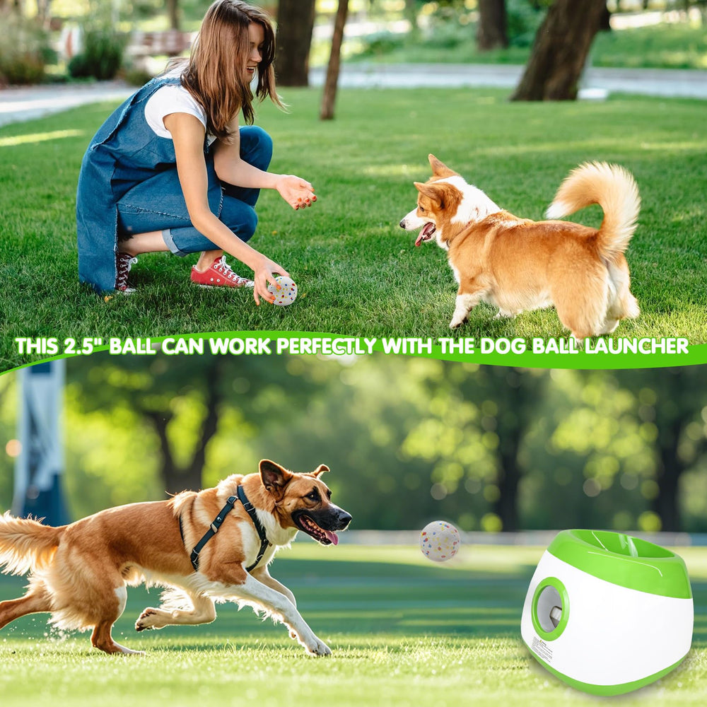 MEKAPLE dog balls in action during outdoor fetch time