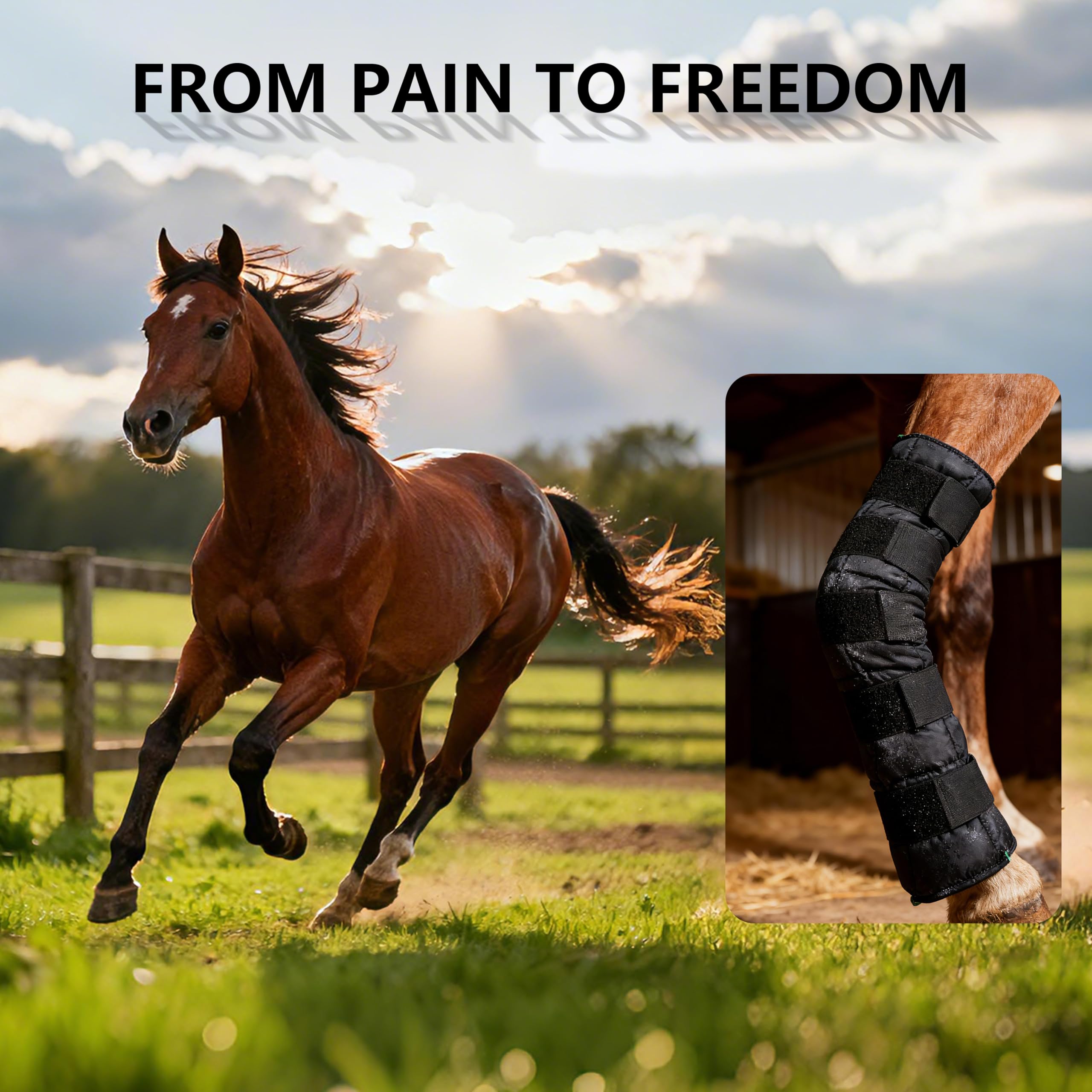 Mekenwi tack room-ready ice boots highlight durable design.