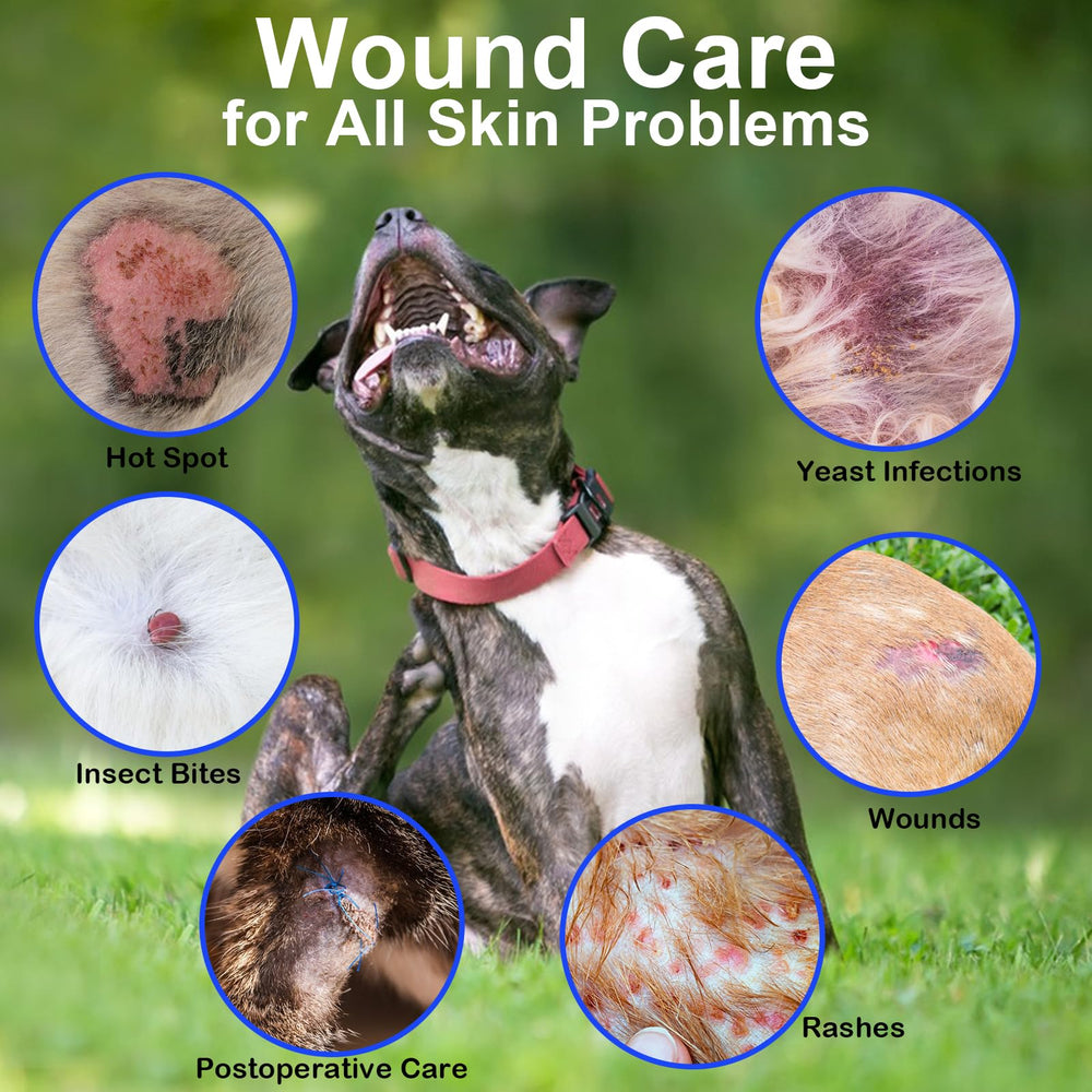 Mekseks pet wound spray application ensures easy, no-touch treatment for minor injuries.