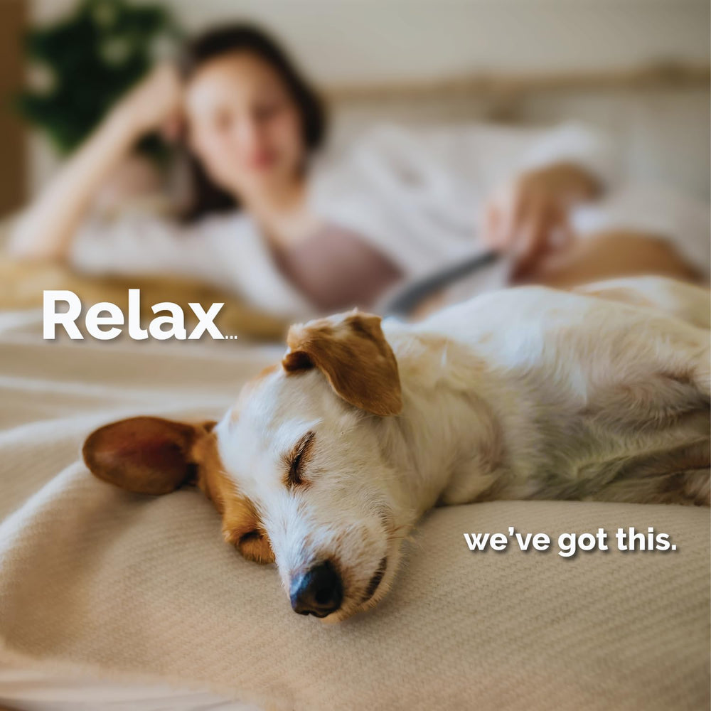 Mela-Vet Melatonin ingredients chamomile ginger and thiamine offer natural calming support