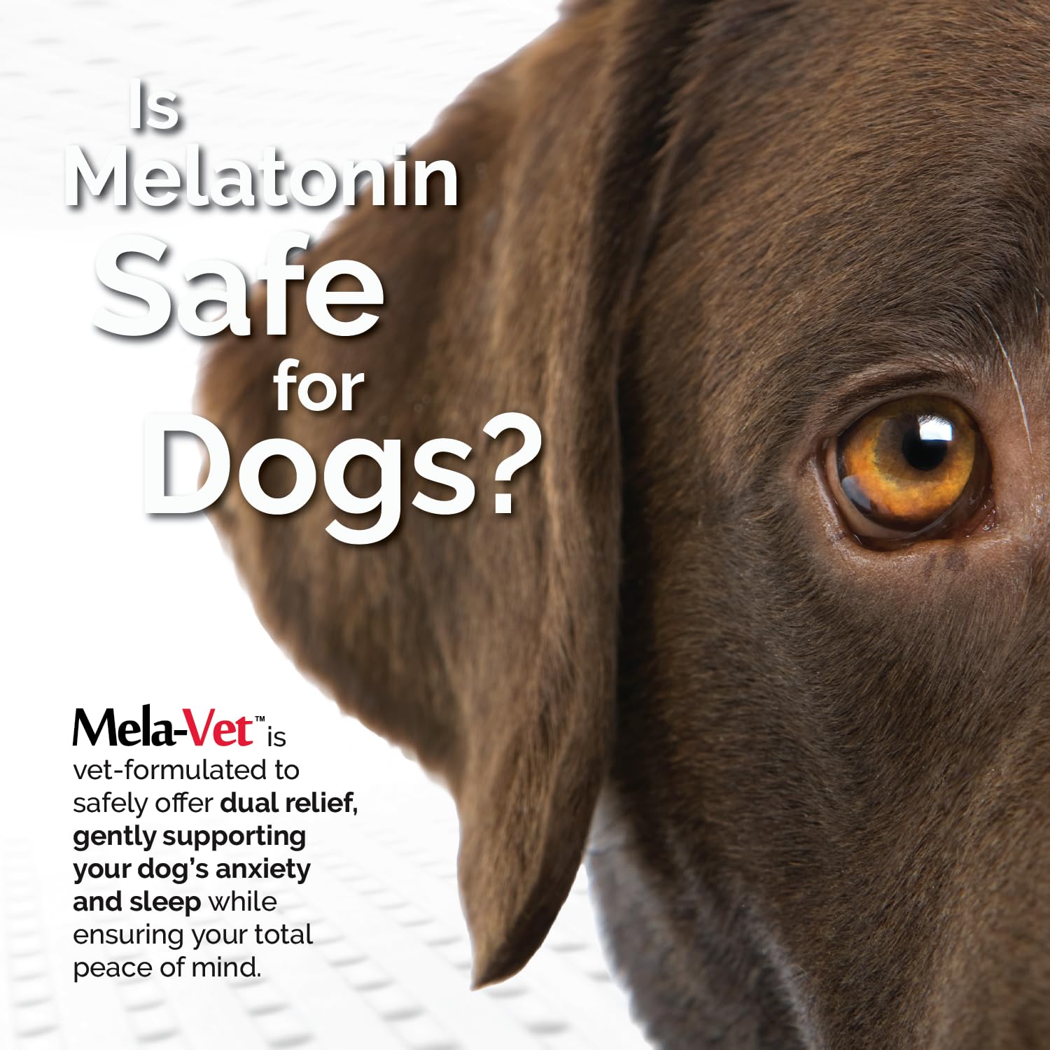 Mela-Vet Melatonin soft chews close-up texture suggests easy dosing and palatability