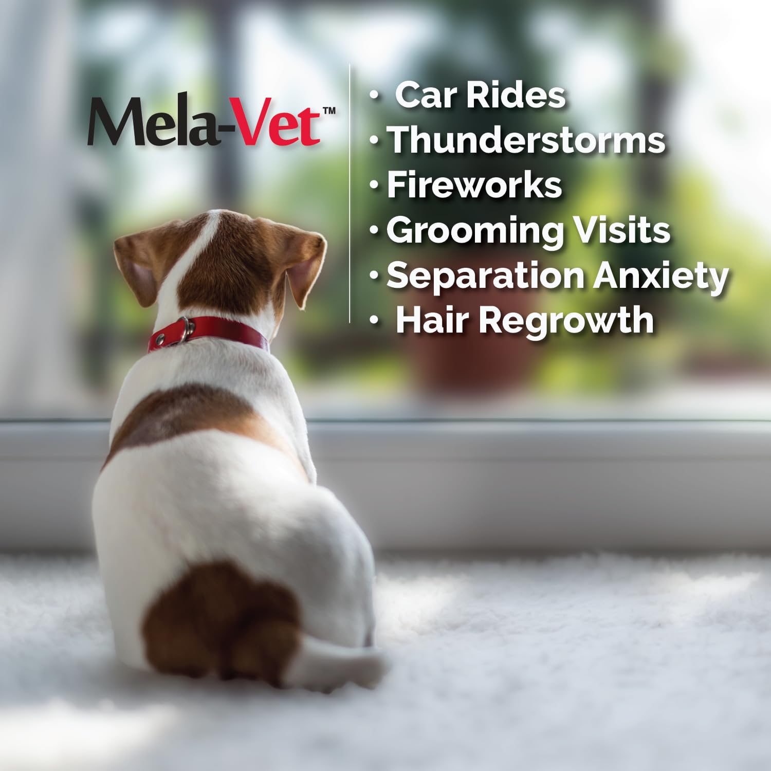 Mela-Vet Melatonin travel scene depicts car rides and trip readiness