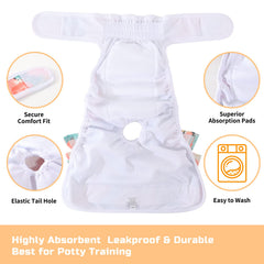 Mengelina adjustable Velcro dog diaper demonstrates easy size adjustment