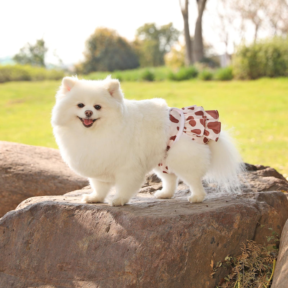 Mengelina animal-print diapers offer a stylish option while preventing accidents at home.