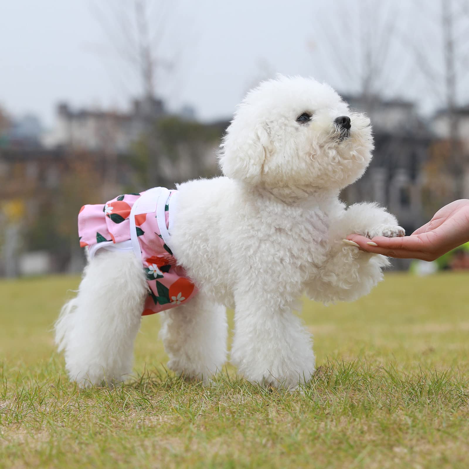 Mengelina flexible-fit diaper moves with dogs during play.
