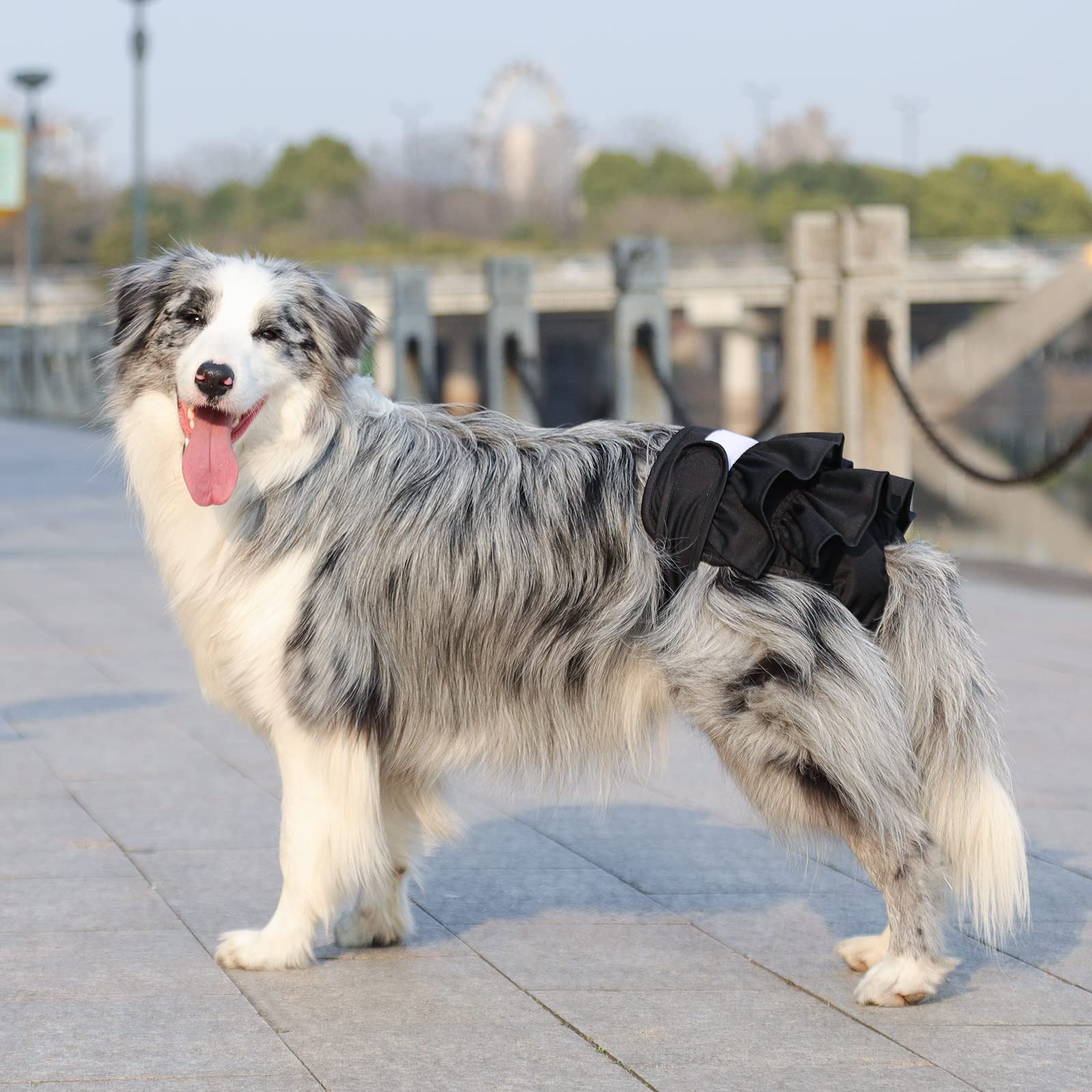 Mengelina 3-pack gift-ready packaging for dog owners