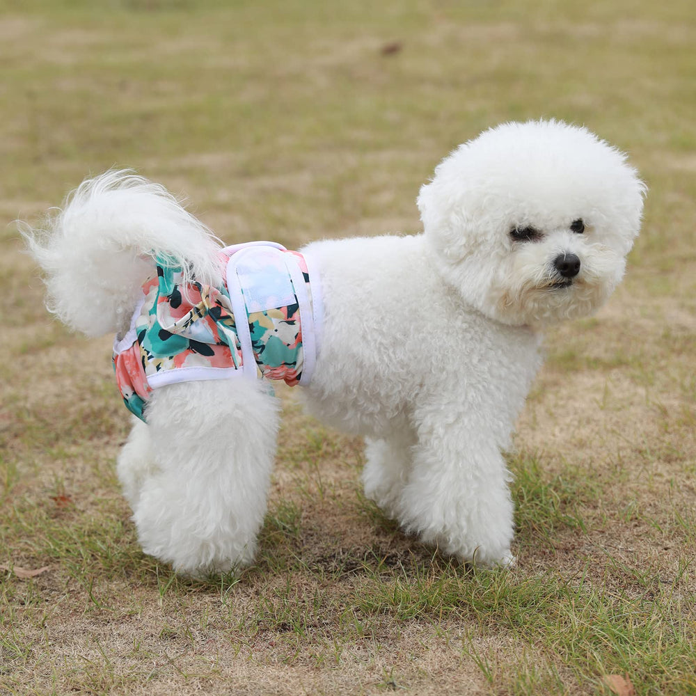 Mengelina tail-hole design improves fit around a dog's tail