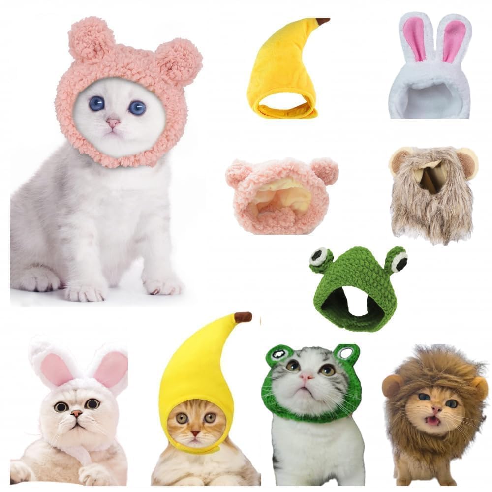 MenPetsonline rabbit-ears cat hat enhances cute photos and events.
