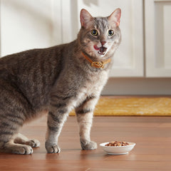 Meow Mix Real Chicken & Liver cup promotes variety and satisfaction at mealtime