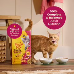 Meow Mix Gravy Bursts chicken kibble with gravy pockets appealing daily meals