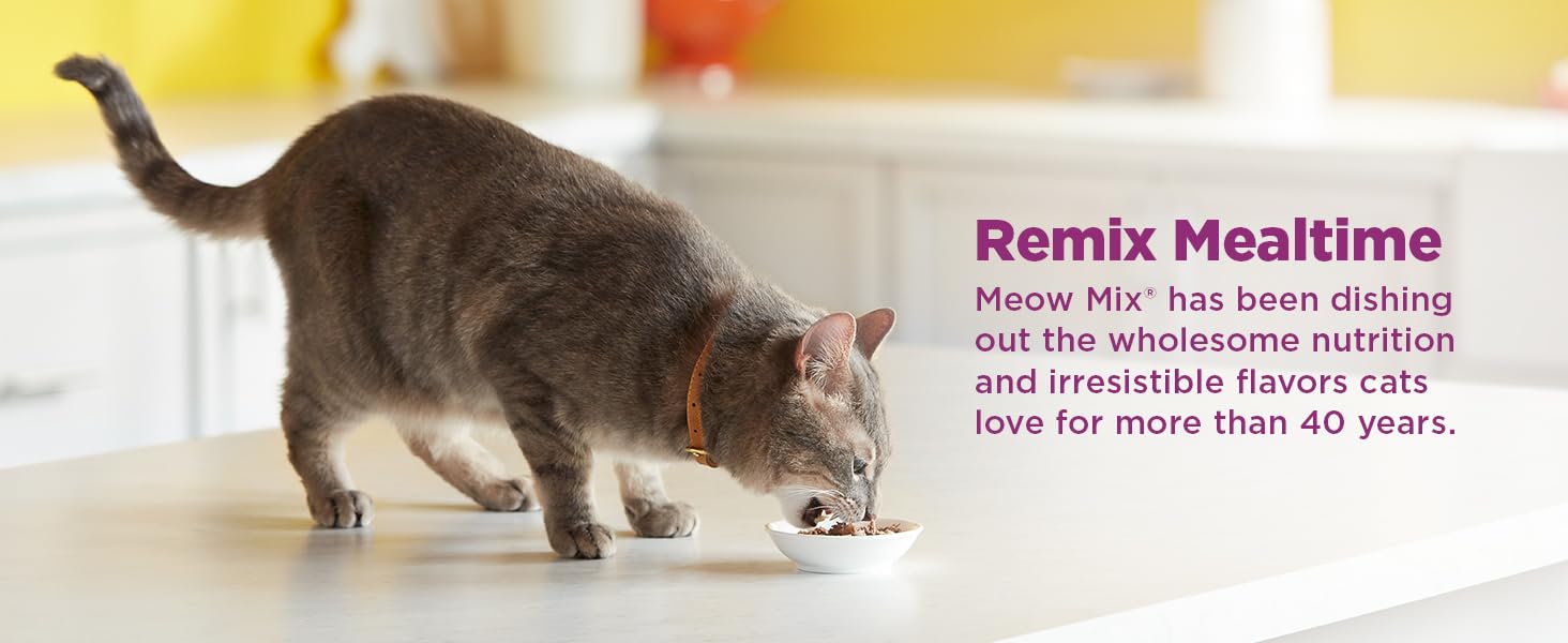 Meow Mix Irresistibles soft chicken treat cat eating demonstrates appealing snack.