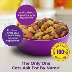 Meow Mix Original Choice angled bowl ready for mealtime nourishment.