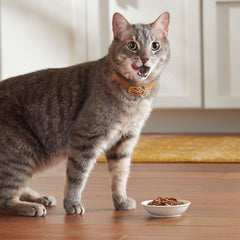 Meow Mix Poultry and Beef Variety Pack cups showcasing mixed flavors for cats.