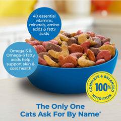 Meow Mix Seafood Medley dry kibble close-up highlighting crunch for tasty meals.