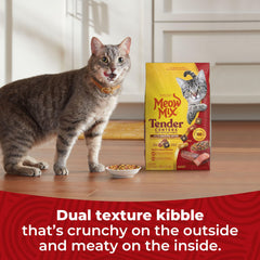 Meow Mix Tender Centers beef flavor kibble, savory option cats may enjoy.