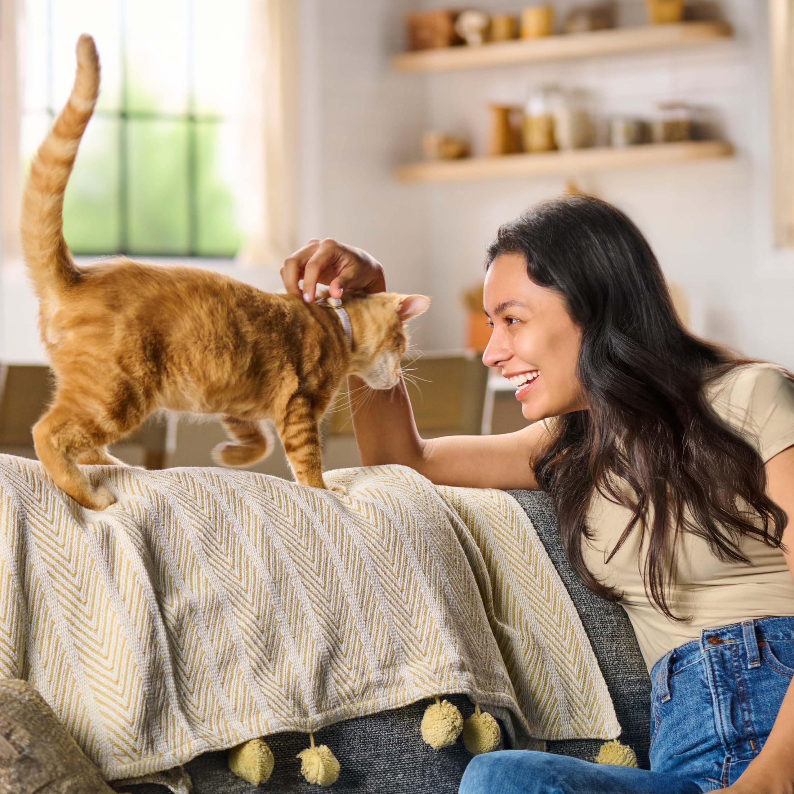 Meow Mix Tender Centers serving bowl shows quick dry feeding.