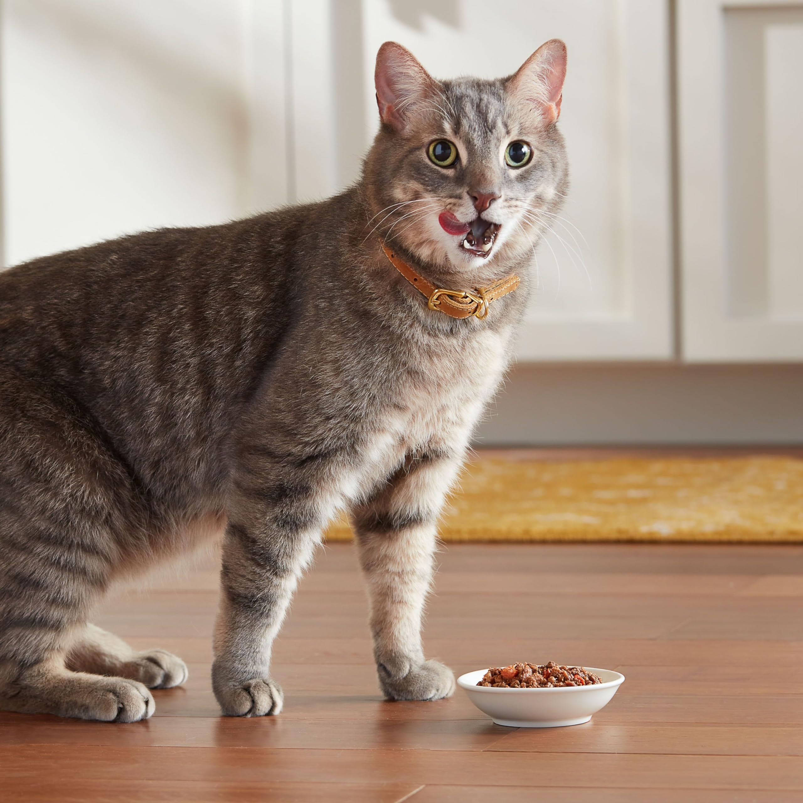 Meow Mix Tender Favorites ingredients-duo-tuna-shrimp: real seafood flavor in every bite.