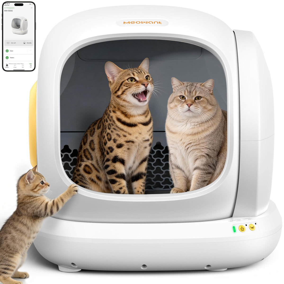 Meowant 75L open-design litter box for multi-cat homes