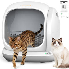 Meowant automatic self-cleaning litter box with open top design for easy access by older cats