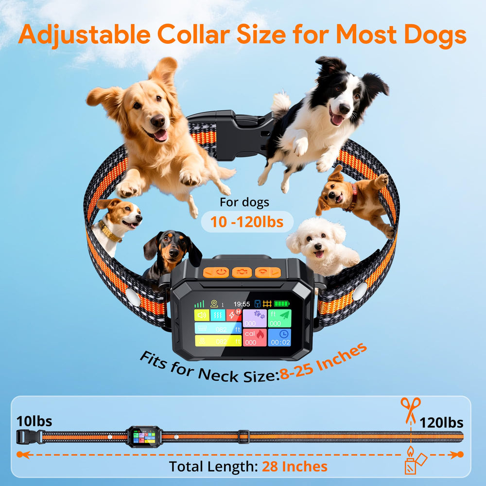 Meowant IP67 waterproof collar withstands rain during outdoor walks.