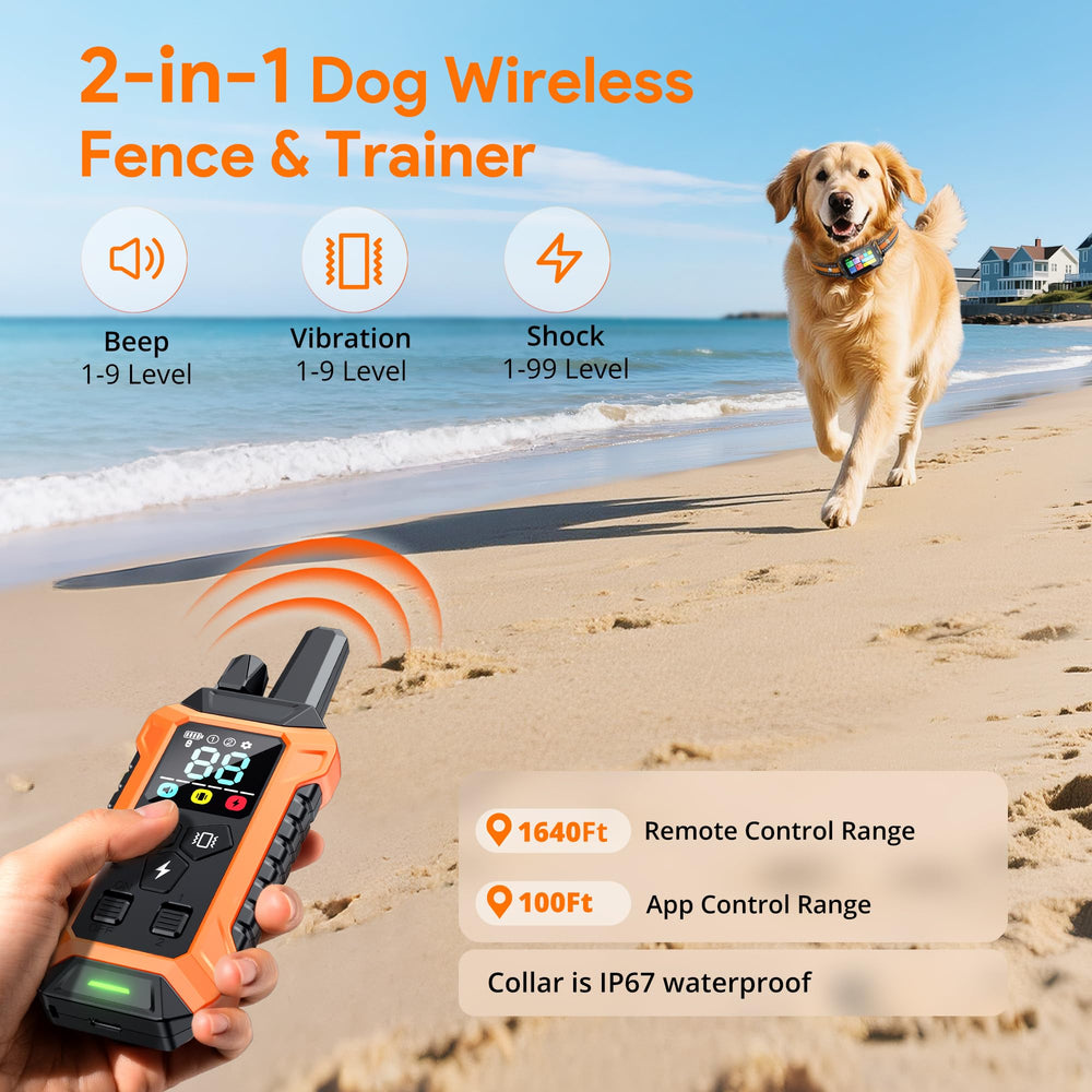 Meowant LCD health activity display shows boundary data and daily activity.