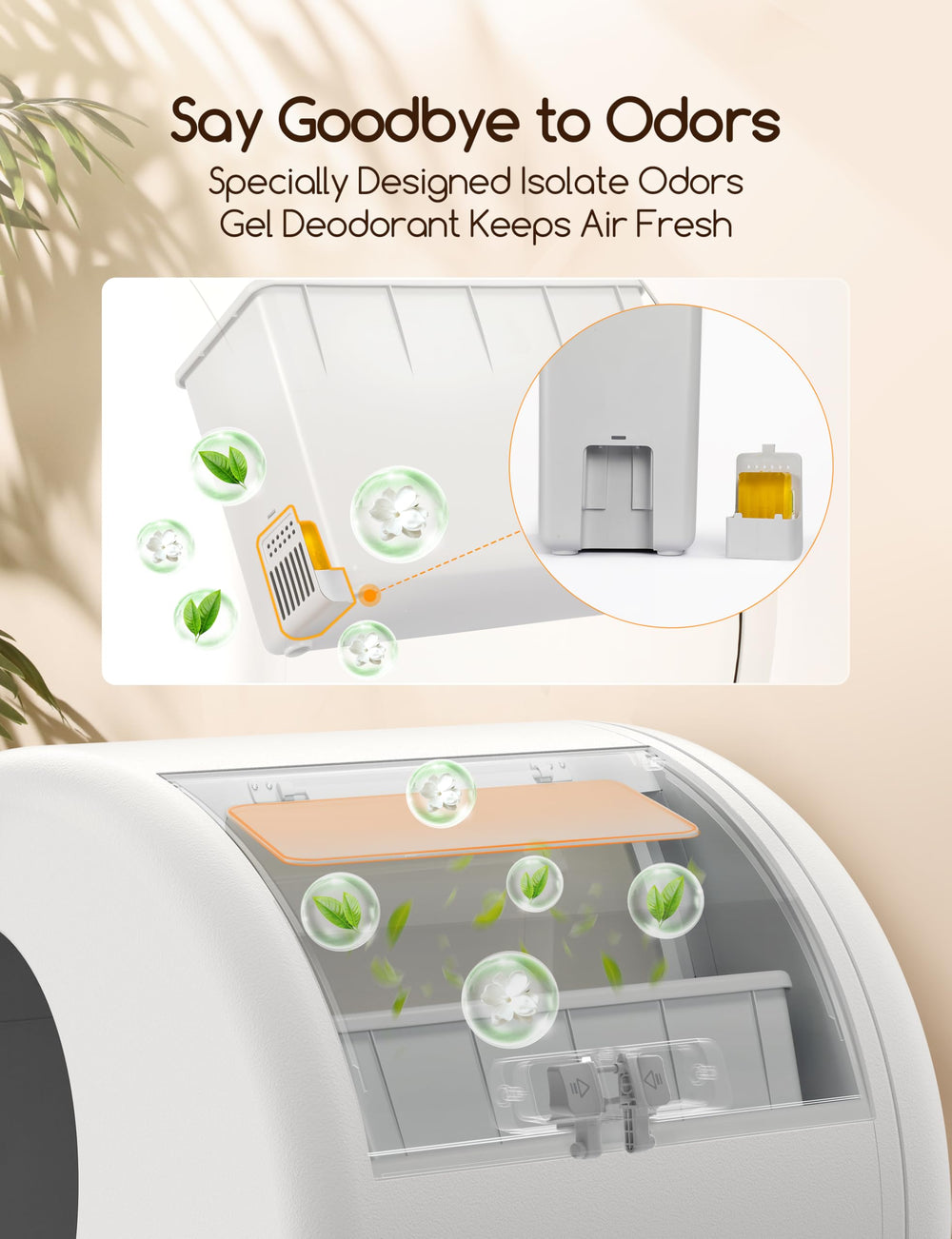 Meowant litter box dimensions reveal generous internal space for many cats
