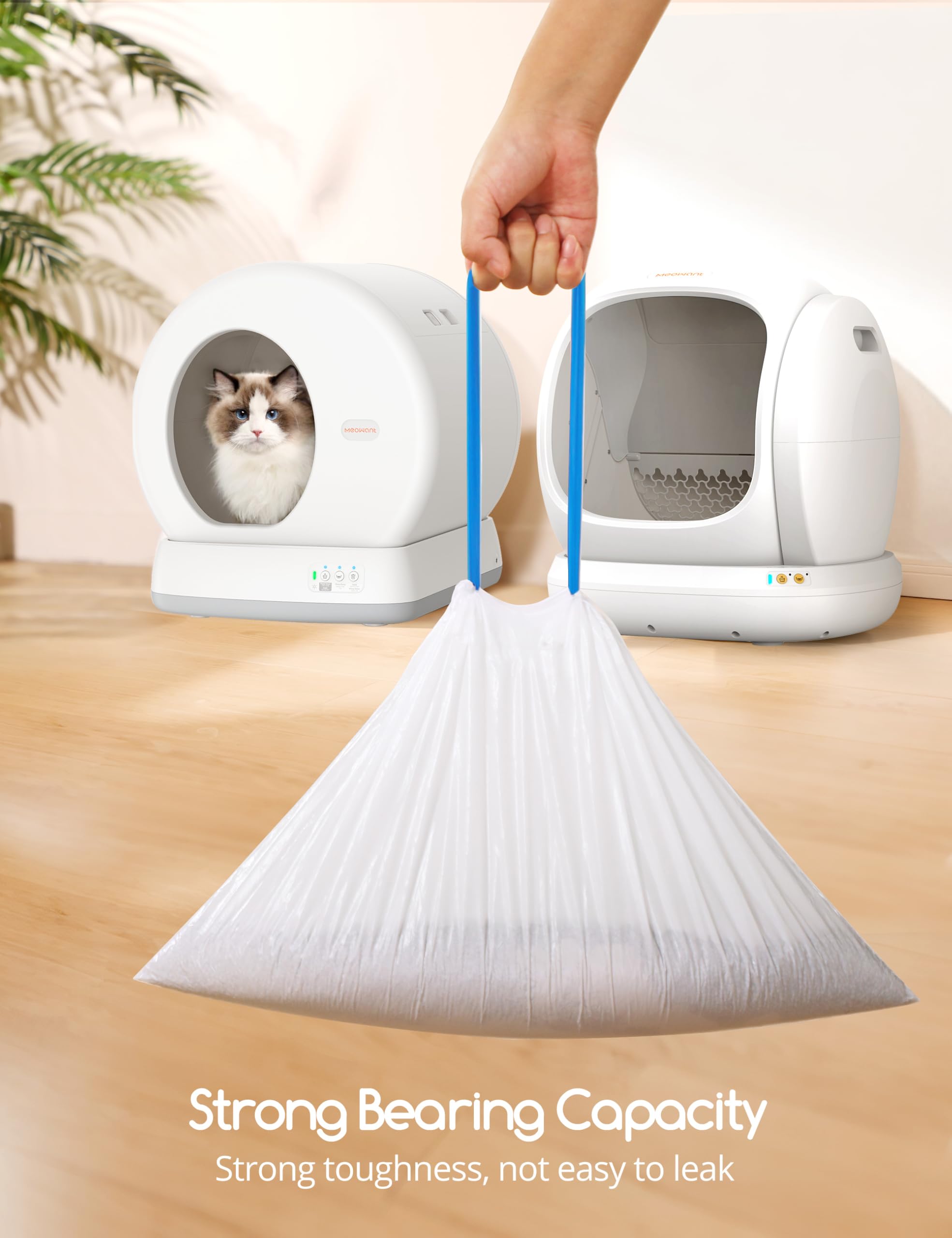 Meowant liners support regular replacement for cat health and cleanliness