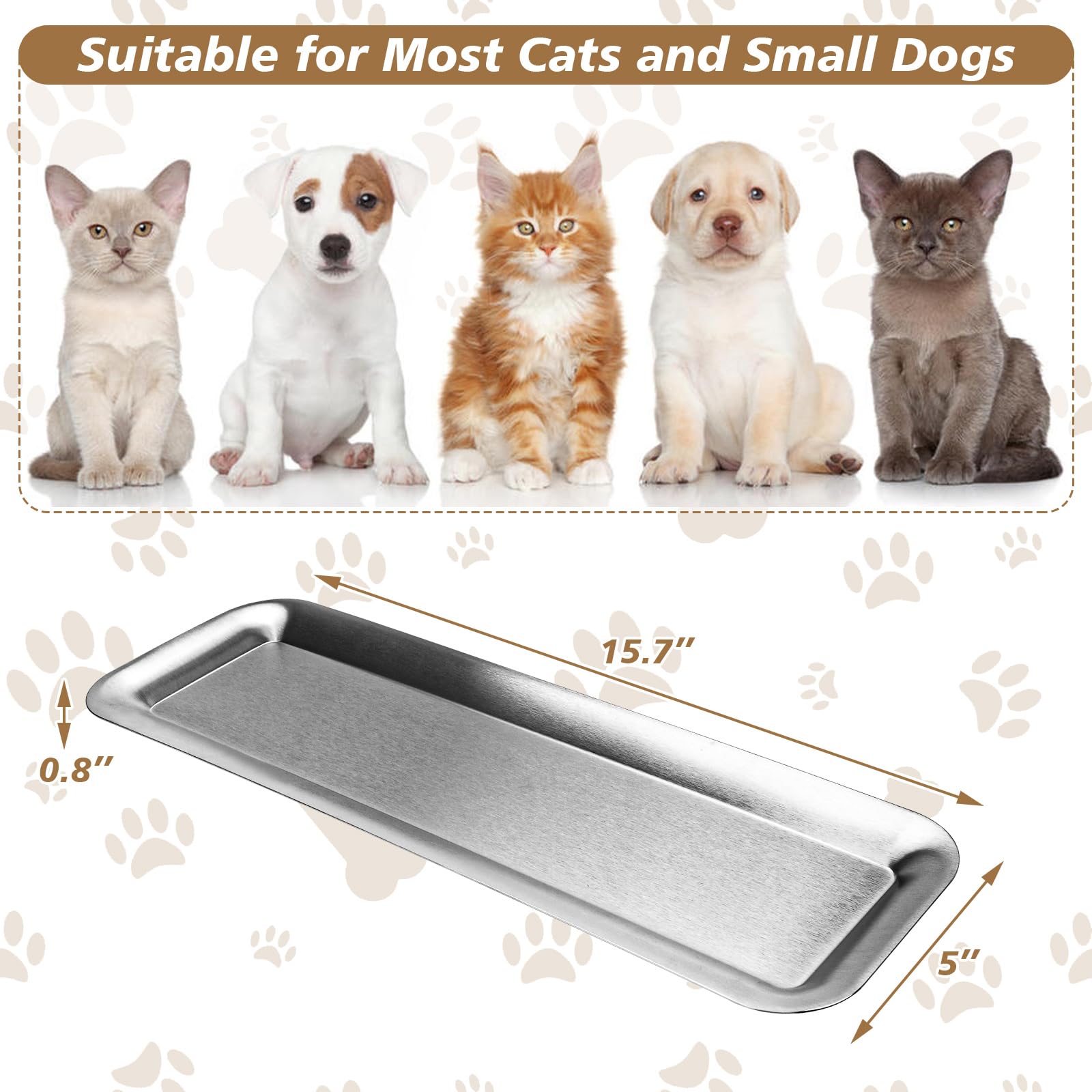 Meowgod flat-face design reduces whisker fatigue during meals.