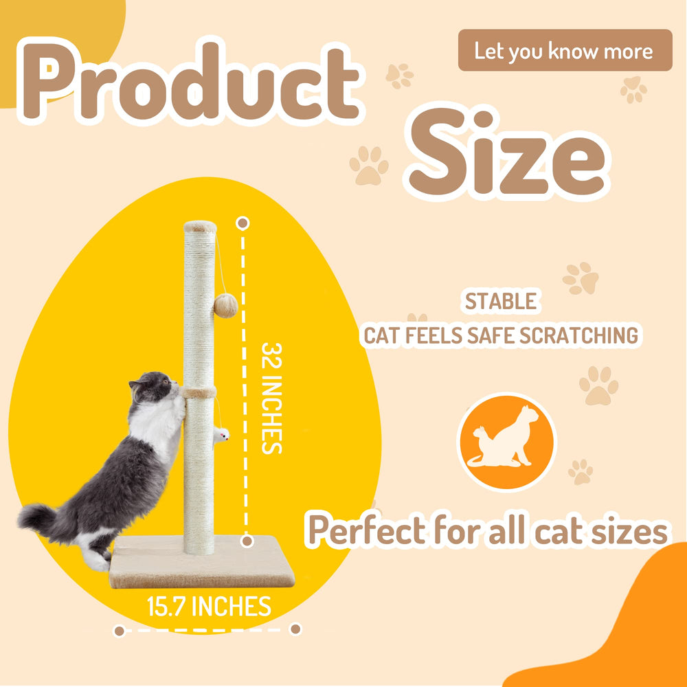 MeowHomm accessory kit includes tools for easy setup