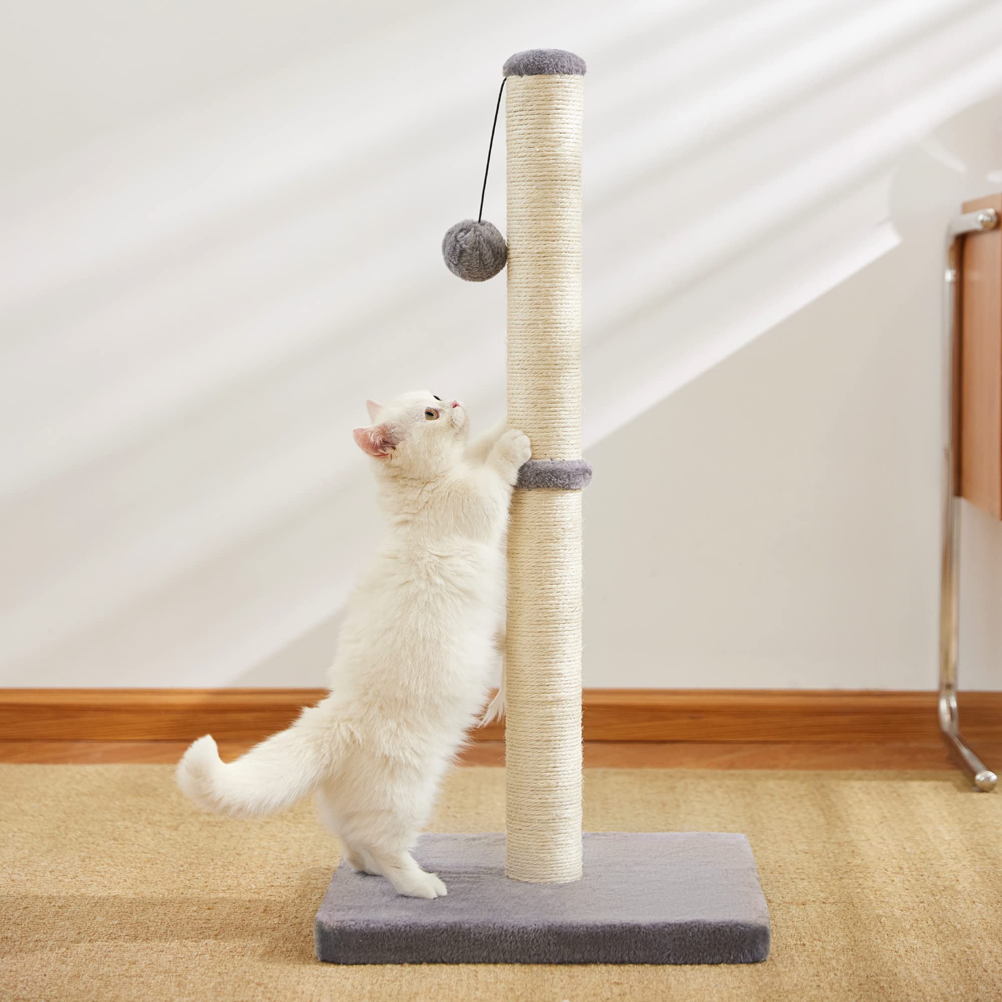 MeowHomm cat using post highlights vertical scratching and climbing benefits