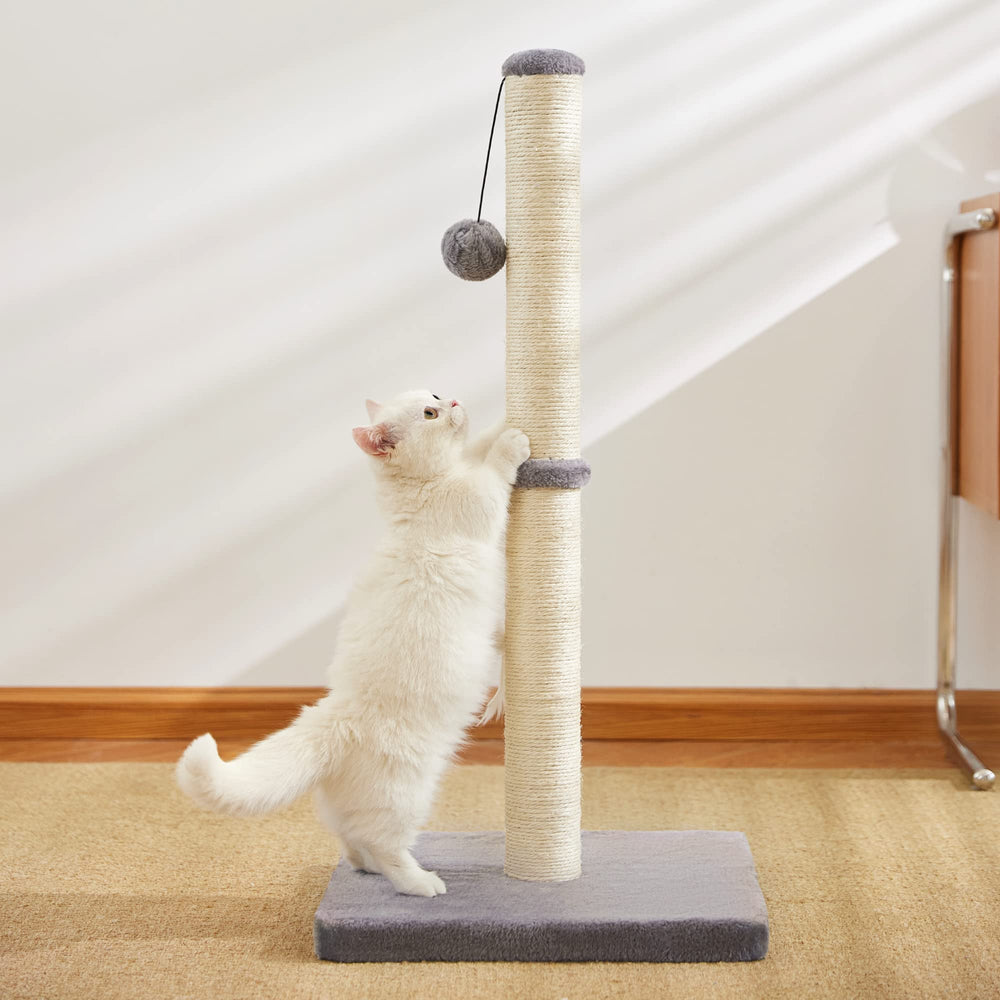 MeowHomm cat using post highlights vertical scratching and climbing benefits