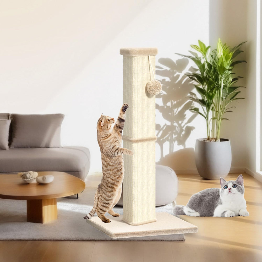 MeowHomm corner placement near stairs helps protect furniture.