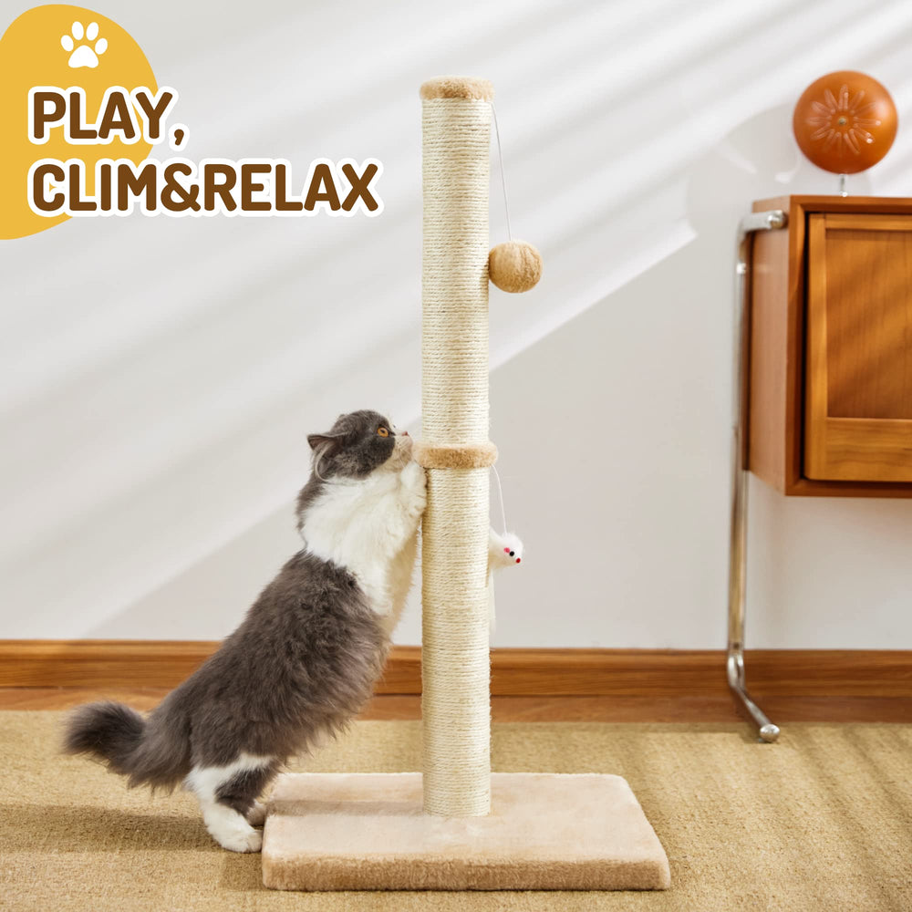 MeowHomm folded base floor provides stable support during use