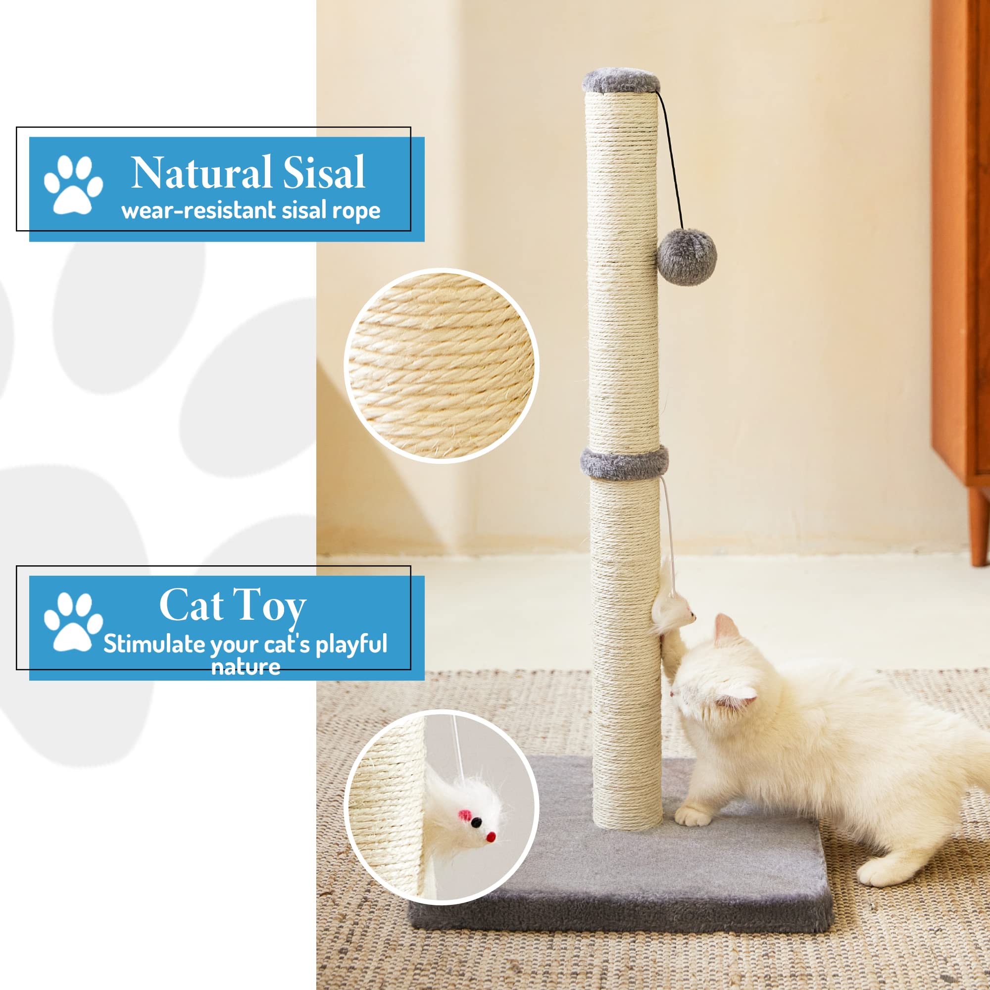 MeowHomm heavy square base demonstrates stable structure for active indoor cats