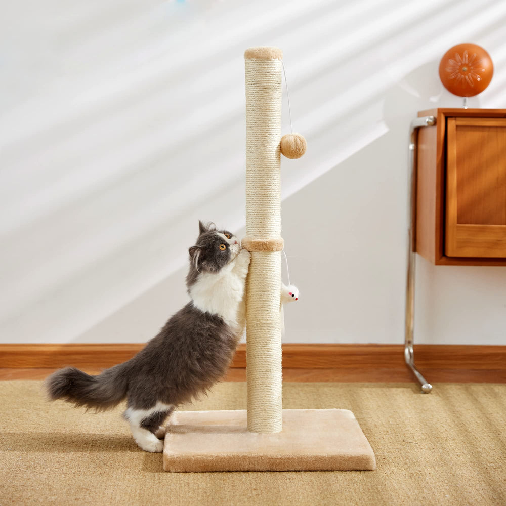 MeowHomm instruction manual helps quick, simple assembly