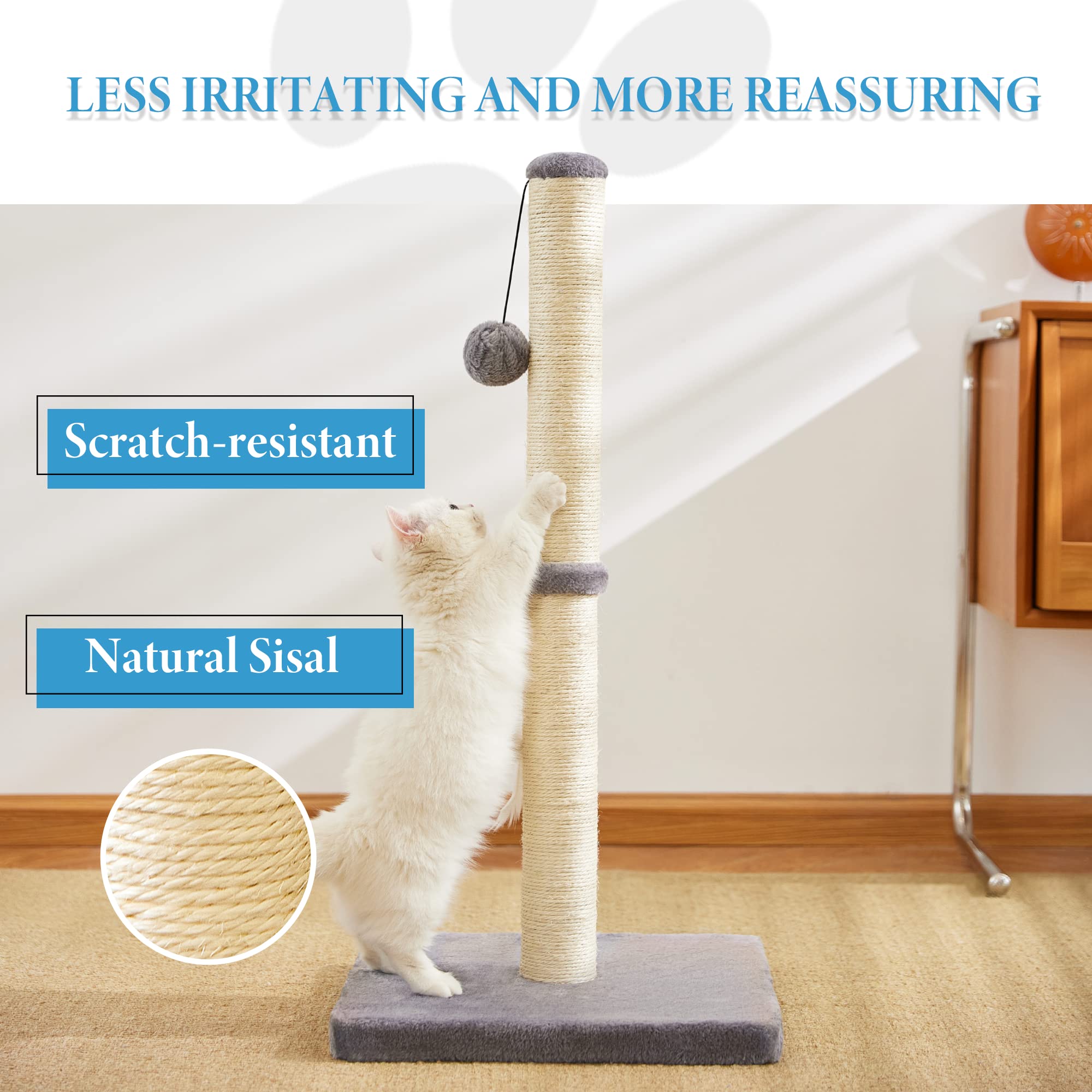 MeowHomm plush ball hanging feature invites interactive play and batting