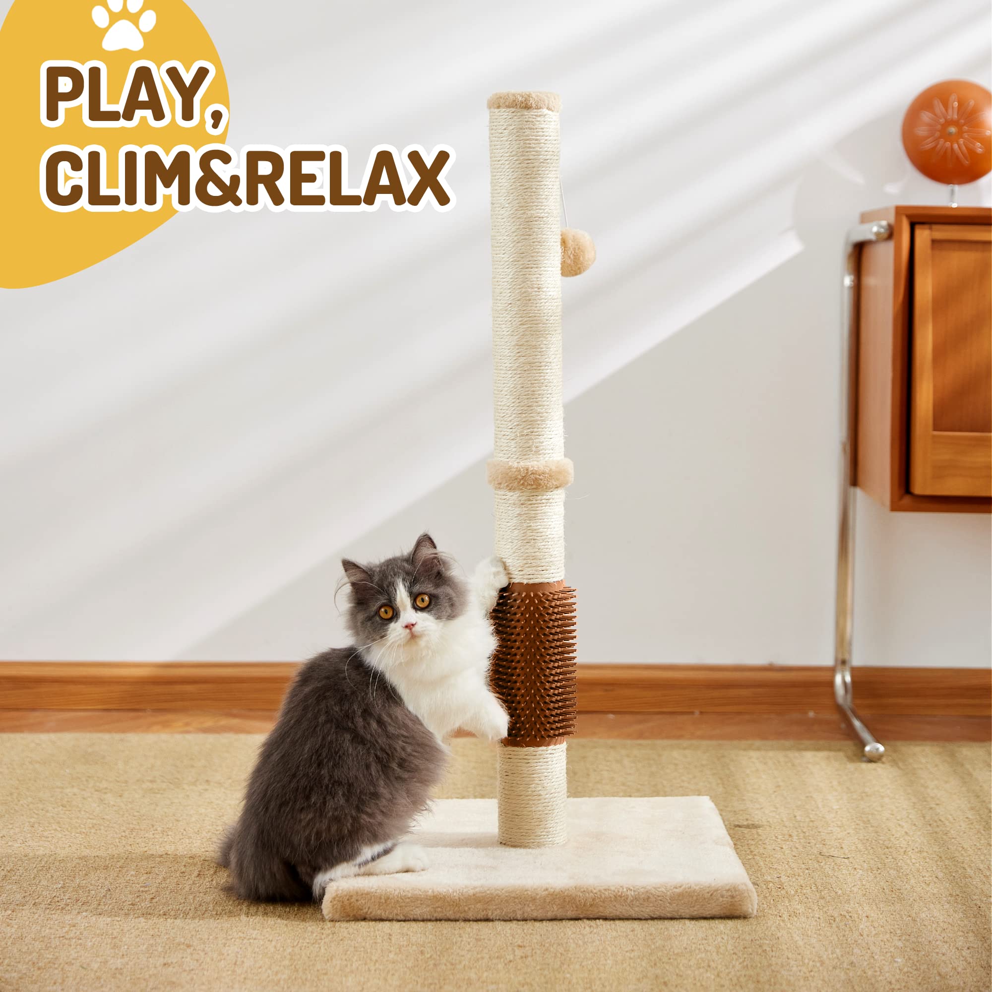 Natural sisal rope provides scratching outlet and furniture protection.