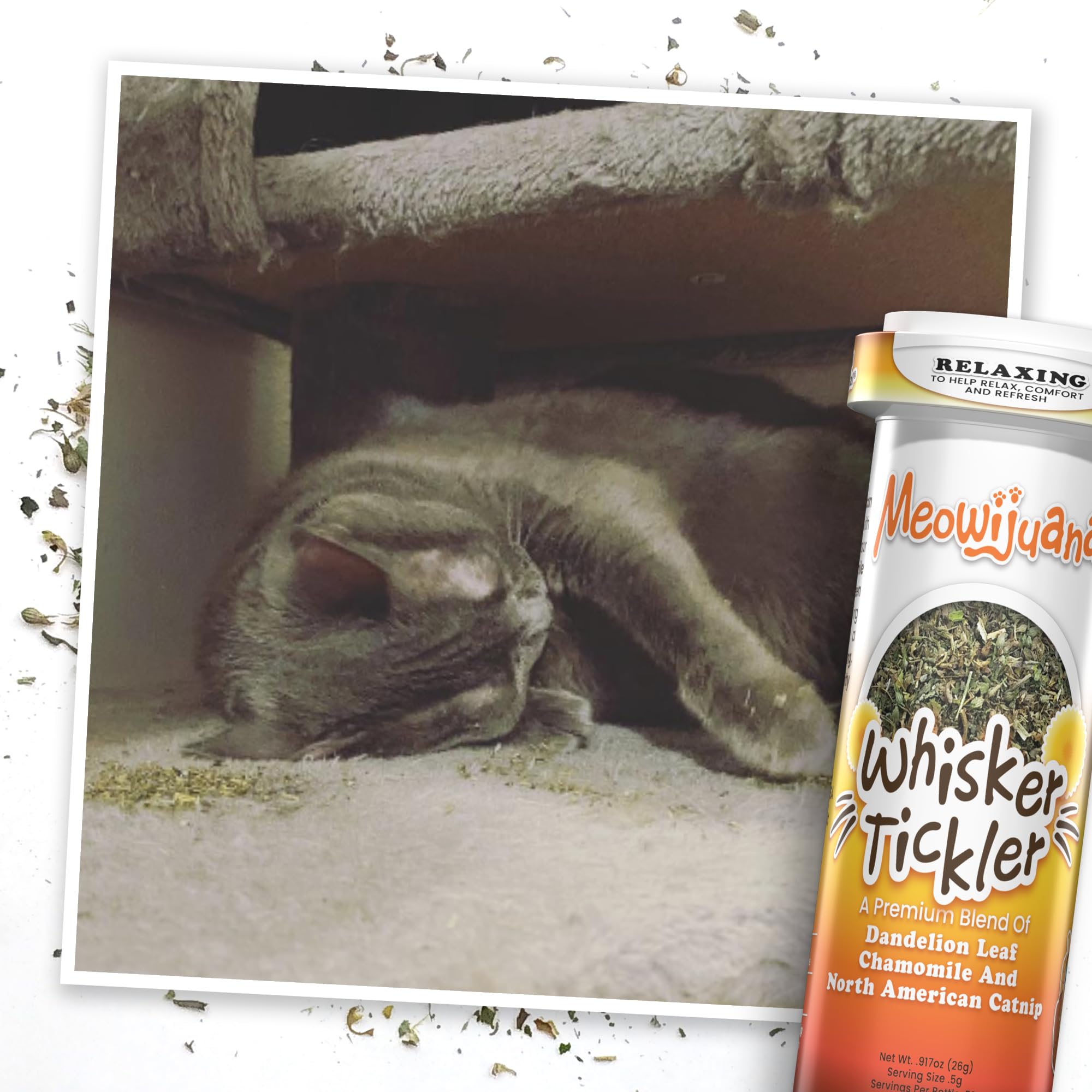 Meowijuana bottle pour action demonstrates easy sprinkling for daily enrichment.