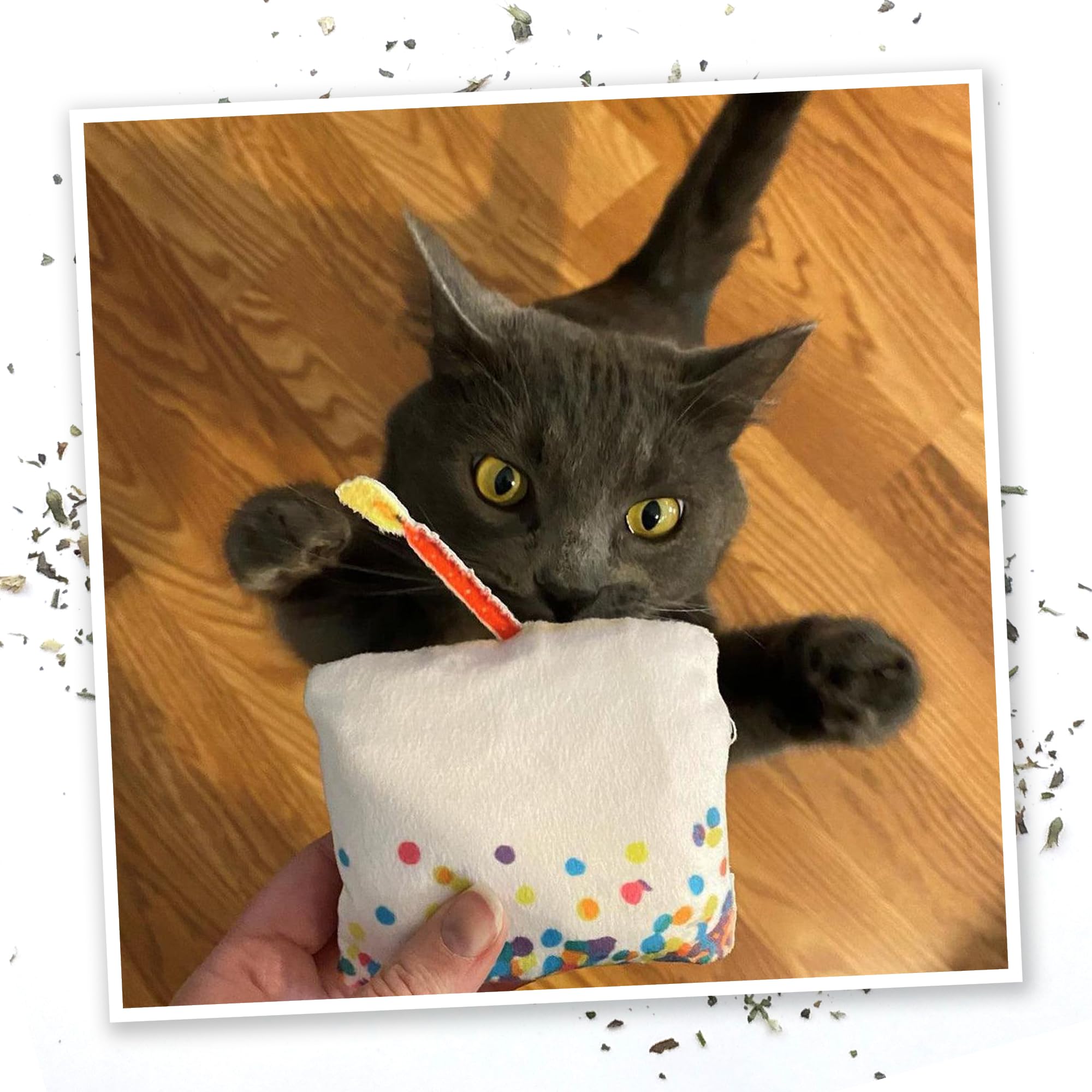 Meowijuana catnip bottle keeps catnip fresh between sessions.